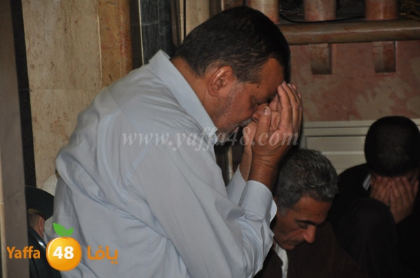 zeker jabaliay (20).JPG